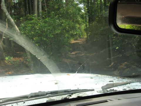 1994 Ford Bronco - Driving through a muddy, wooded path, seen from the perspective of the driver's seat.