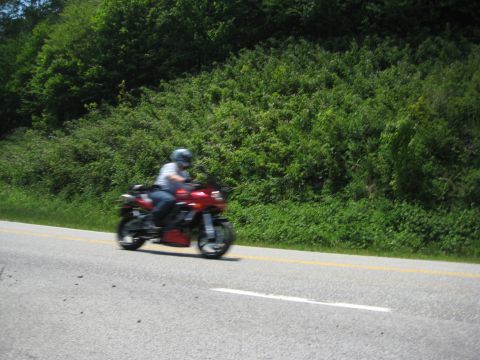 2008 Yamaha FZR1000 “Fuzzy One - TOTALLED”