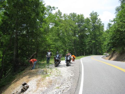2008 Yamaha FZR1000 “Fuzzy One - TOTALLED”