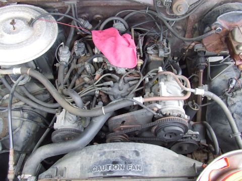 1982 Ford Bronco photo