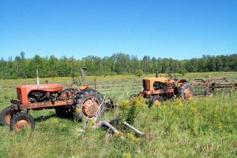 2000 Chevrolet Tahoe - Two vintage tractors, one orange and one yellow, are parked in a field with trees in the background.