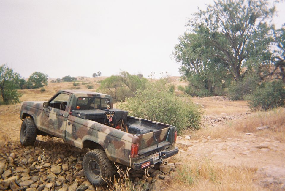 Camouflaged pickup truck parked on rocky terrain, dog in the bed