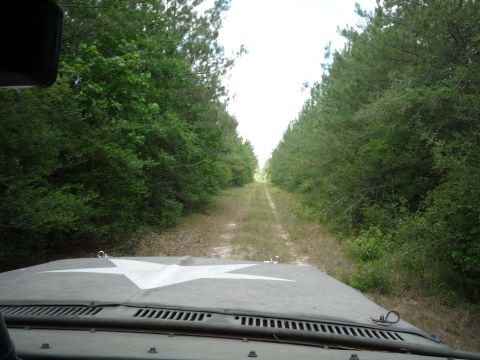1990 Ford Bronco - Driving down a dirt road through a forest, with a white star painted on the vehicle's hood.