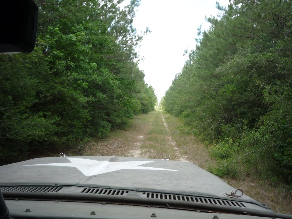 Hood of a vehicle with a white star, driving down a dirt road lined with trees