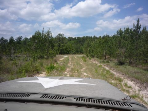 1990 Ford Bronco - View from inside a vehicle with a white star on its hood, driving on a dirt road through a wooded area.