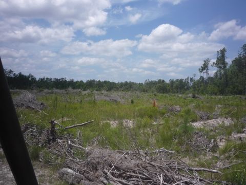 1990 Ford Bronco - Cleared land with trees and debris under a cloudy sky. Watermark reads SUPER MOTORS.