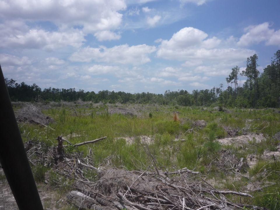 Cleared land with grass, trees, and debris under a cloudy sky. Watermark reads SUPER MOTORS