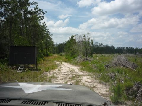 1990 Ford Bronco - A vehicle with a star emblem on its hood drives down a dirt path in a rural, wooded area.