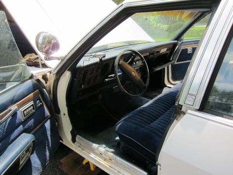 1991 Ford Crown Victoria LTD - Interior view of a white car with blue velour seats and dashboard details.