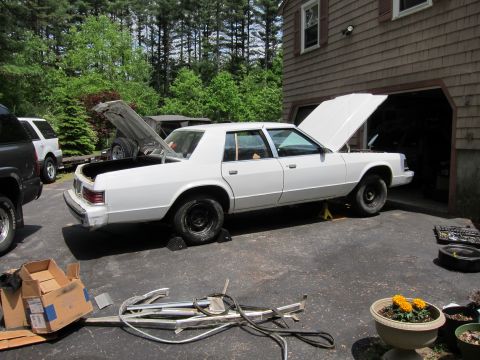 1991 Ford LTD Crown Victoria - A white sedan is parked in a driveway with its hood and trunk open, appearing to be undergoing maintenance.
