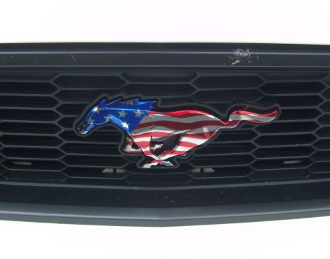 2007 Ford Mustang - The iconic Mustang emblem is displayed on the vehicle's front grille.