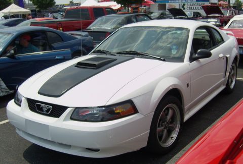 2007 Ford Mustang - A white 2007 Ford Mustang with a black stripe on the hood is parked at an outdoor event.