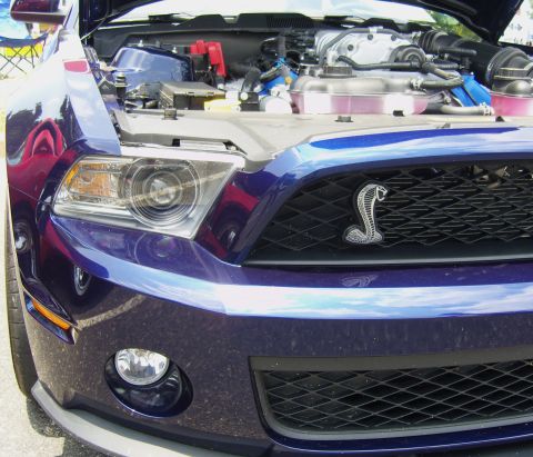 2007 Ford Mustang - The front of a blue Ford Mustang Shelby GT500 is shown with the hood open, revealing the engine compartment.