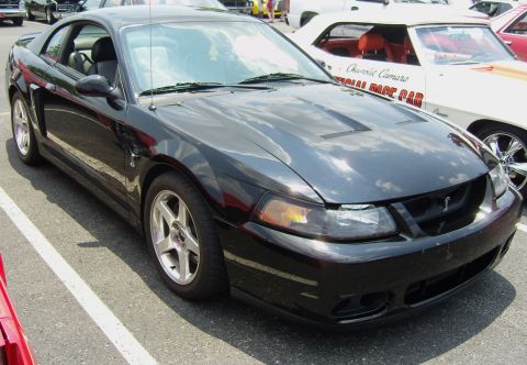 2007 Ford Mustang - Black 2007 Ford Mustang with hood scoops and a Cobra emblem in the grille.