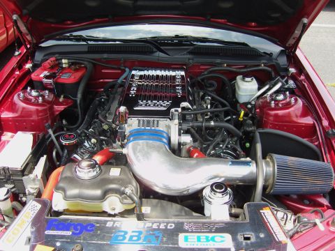 2007 Ford Mustang - Customized engine bay a supercharger and various aftermarket performance parts.