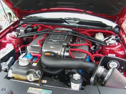 2007 Ford Mustang - Customized engine bay of a 2007 Ford Mustang, red hoses and silver engine covers.