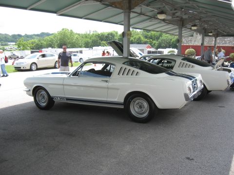 1968 Shelby GT500 - Two white Ford Mustang GT350s are parked side-by-side under a canopy at an outdoor event.