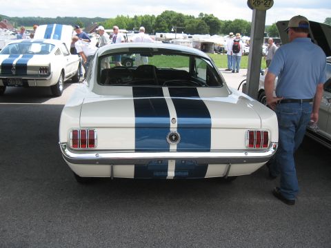1968 Shelby GT500 - A white 1965 Ford Mustang fastback with blue racing stripes is parked at an outdoor event.