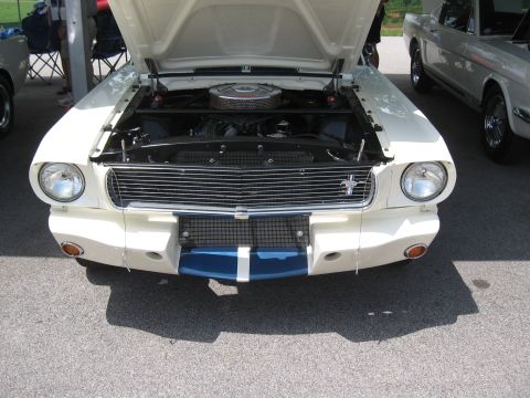 1968 Shelby GT500 - A white 1960s muscle car is displayed with its hood open, revealing the engine and prominent blue racing stripes on the front bumper.