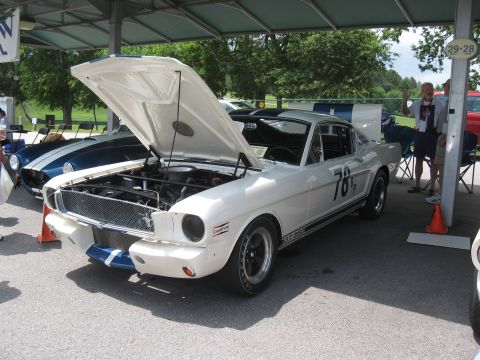 1968 Shelby GT500 - White 1966 Shelby GT350 with hood open, parked next to another Shelby at an event.
