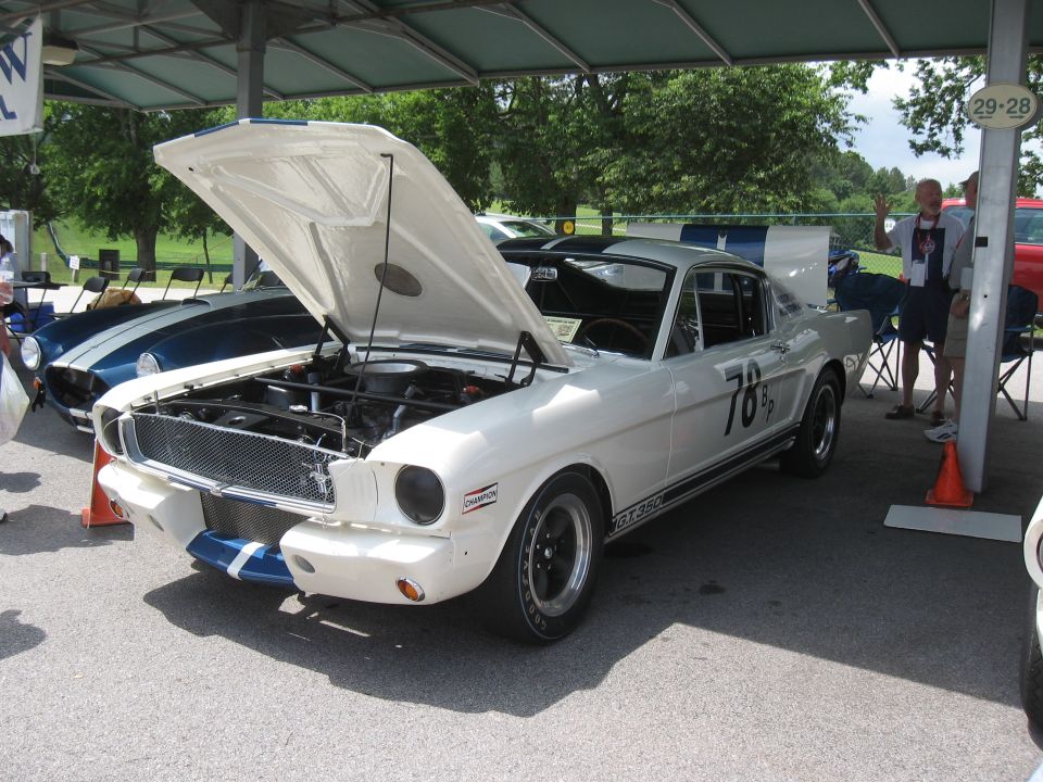 White 1966 Shelby GT350 with blue stripes, hood open, parked next to a blue Shelby. Number 78 is on the door