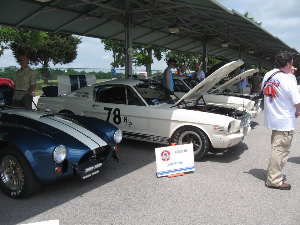 White 1965 Ford Mustang GT350 with racing stripes and number 78, parked next to a blue Shelby Cobra