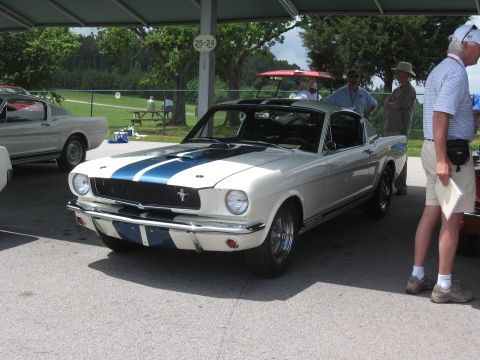 1968 Shelby GT500 - White 1965 Shelby GT350 with blue racing stripes, parked at an outdoor event.