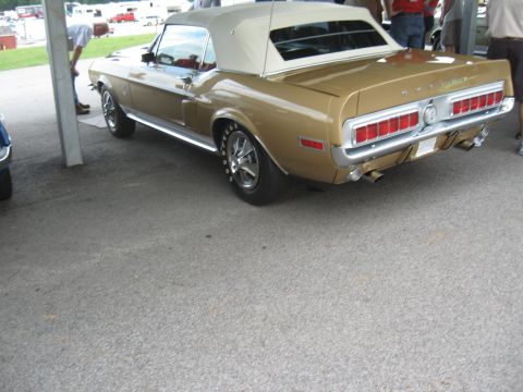 1968 Shelby GT500 - A gold 1967 Ford Mustang convertible is parked outdoors, viewed from the rear.