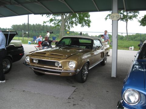 1968 Shelby GT500 - A gold 1967 Ford Mustang convertible is parked under a canopy at an outdoor event.