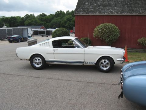 1968 Shelby GT500 - A white 1966 Ford Mustang GT 350 is parked outdoors, with another car partially visible in the foreground.