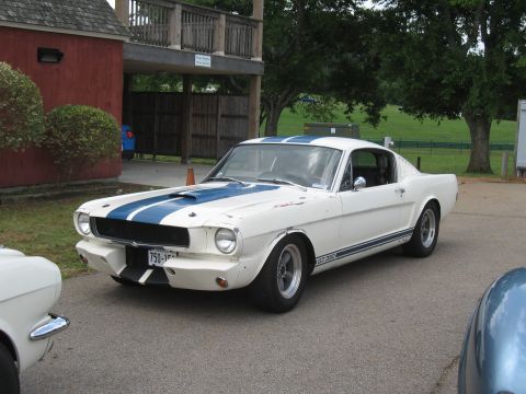 1968 Shelby GT500 - A white 1965 Ford Mustang GT350 with blue racing stripes is parked outdoors, with another vehicle partially visible in the foreground.