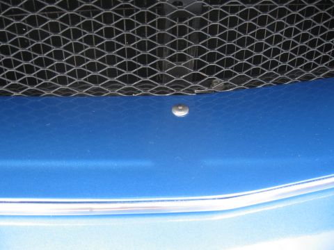 1968 Shelby GT500 - Close-up of a blue car's front grille and hood detail, with a visible watermark.