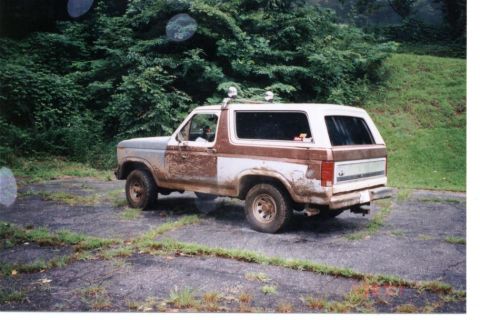 1982 Ford Bronco photo