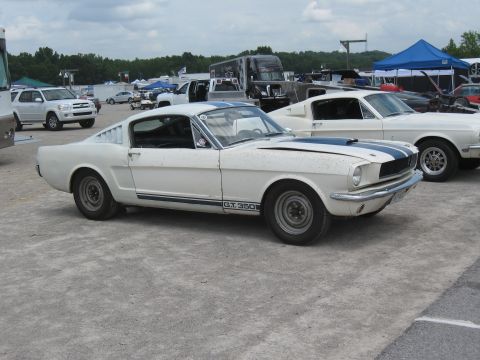 1968 Shelby GT500 - A white 1965 Shelby GT350 with blue racing stripes is parked at an outdoor event.