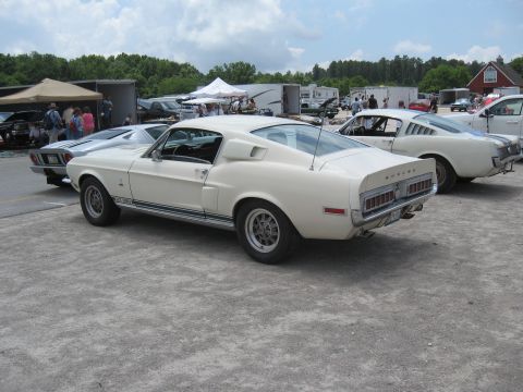 1968 Shelby GT500 - Two 1968 Shelby GT500s are parked side-by-side at an outdoor event.