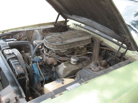 1968 Shelby GT500 - The engine bay of a 1968 Shelby GT500 shows its V8 engine and associated components.
