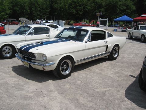 1968 Shelby GT500 - A white 1965 Shelby GT350 is parked outdoors with other vehicles.