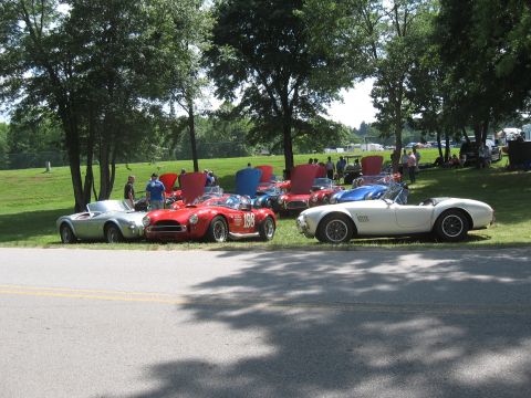 1968 Shelby GT500 - A collection of classic Shelby Cobras are displayed outdoors at a car event, with people milling around.