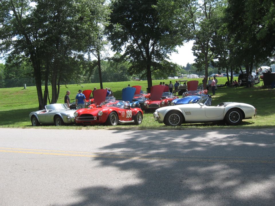 Several Shelby Cobras parked on grass, some with hoods up. One red car has '198' on its door