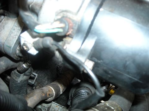 1979 Ford F-150 - Engine bay hoses and electrical connections are visible in this close-up view.