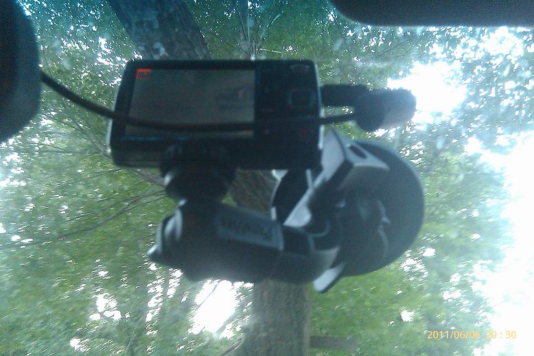 Dashcam mounted on windshield, showing trees and sky through the glass
