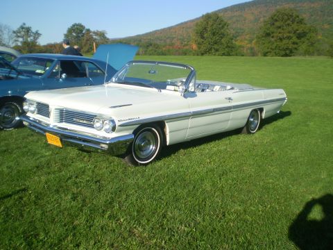 1979 Ford Bronco - A white convertible with a chrome grille and side trim is parked on a grassy field.