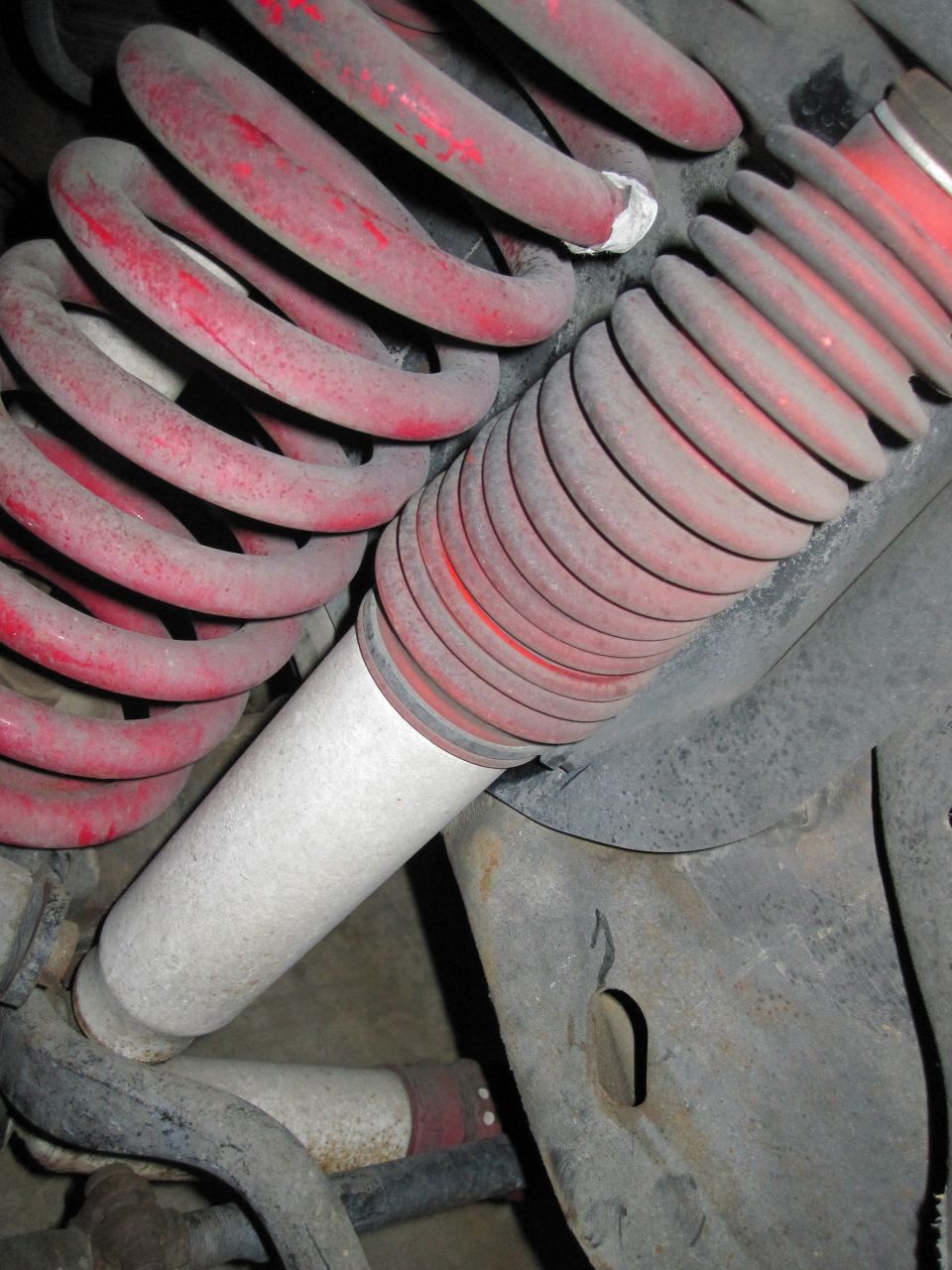 Red coil springs and white shock absorber assembly