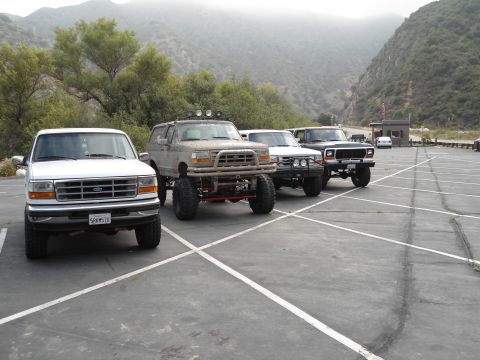 1994 Ford Bronco - A lineup of four SUVs, including a white 1994 Ford Bronco, are parked in an outdoor lot.