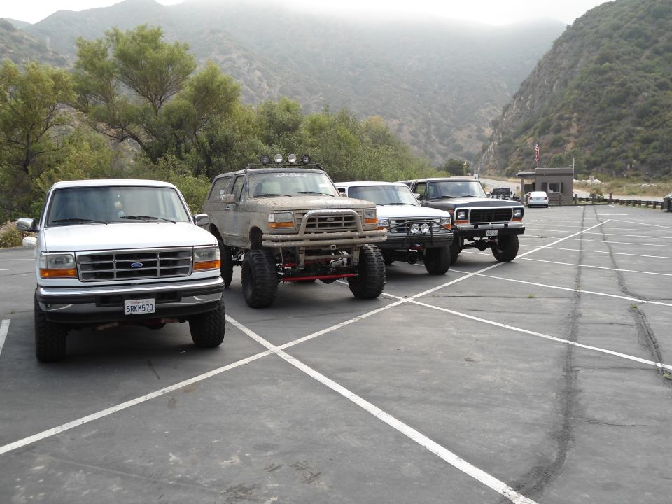White 1994 Ford Bronco front view, parked in lot with other SUVs