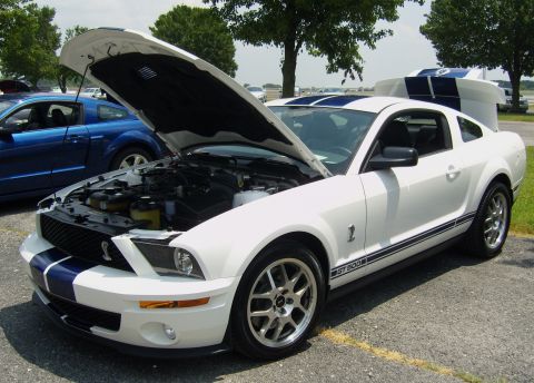 2007 Ford Mustang - A white 2007 Ford Mustang GT500 with blue racing stripes is parked with its hood open, revealing the engine bay.