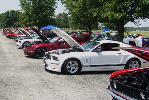 2007 Ford Mustang - A line of Ford Mustangs are displayed with their hoods open at an outdoor car show.