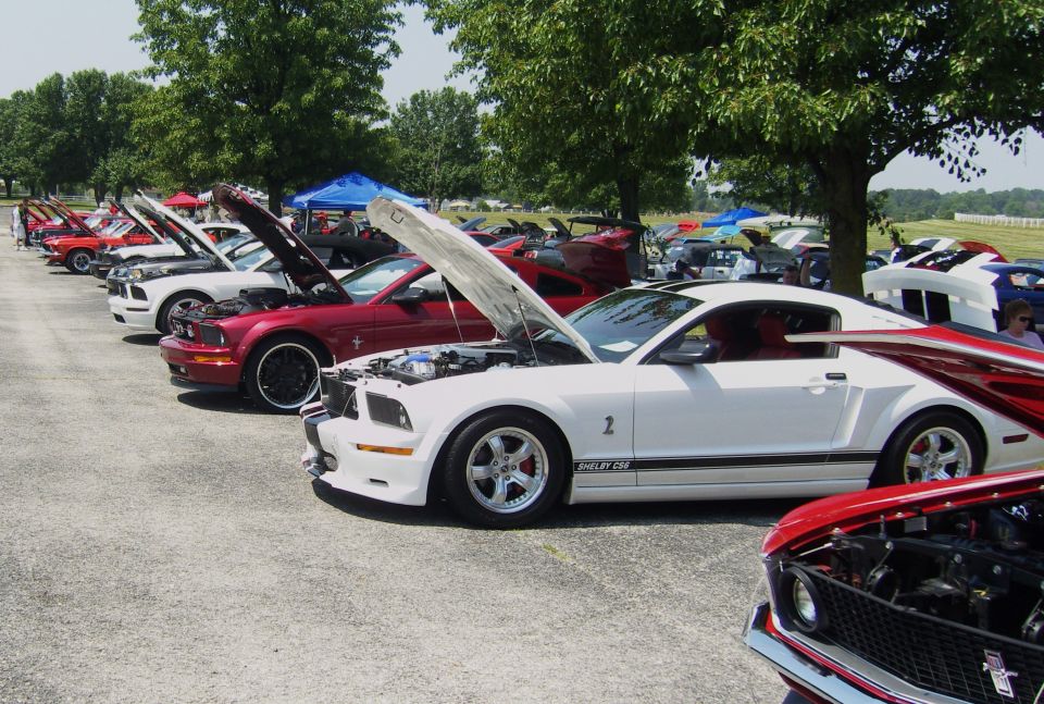 White Ford Mustang with red racing stripes on rear quarter panel, hood open, parked in a line with other cars