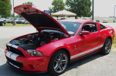 2007 Ford Mustang - Red 2007 Ford Mustang GT500 with hood open, displaying racing stripes and engine details.