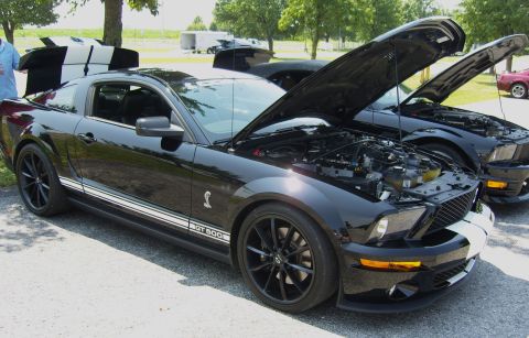 2007 Ford Mustang - Two black Ford Mustangs with hoods open are parked side-by-side at an outdoor car show.